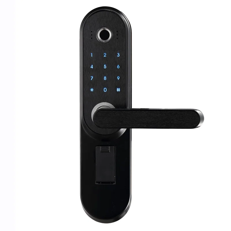 LACHCO 2020 Smart door lock With Biometric Fingerprint Code Password Digital Electronic door lock for home office L19001A1