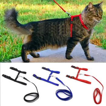 Cat/ Small Dog Adjustable Harness & Leash 1