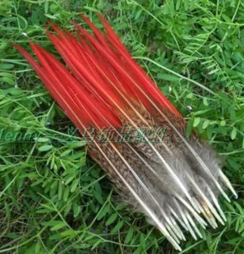 50Pcs/Lot NEW Golden Pheasant Red Tip Tail Feathers 20-25CM 8-10inch Long for Craft Supplies FREESHIPPING