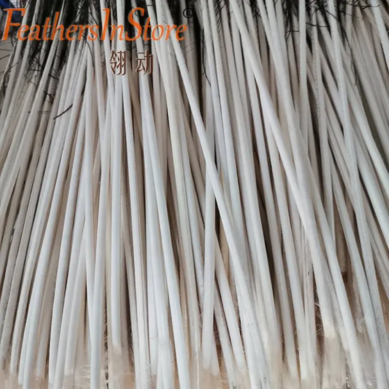 Wholesale 1000pcs Peacock Feather Stick for Fishing pole Buoy Feather rod big diameter 4.5-6.5mm stalks on floats