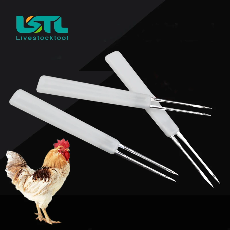 Chicken Vaccination Needle Poultry Breeding Equipment 10pcs Poultry Acne Needle Quality Assurance15