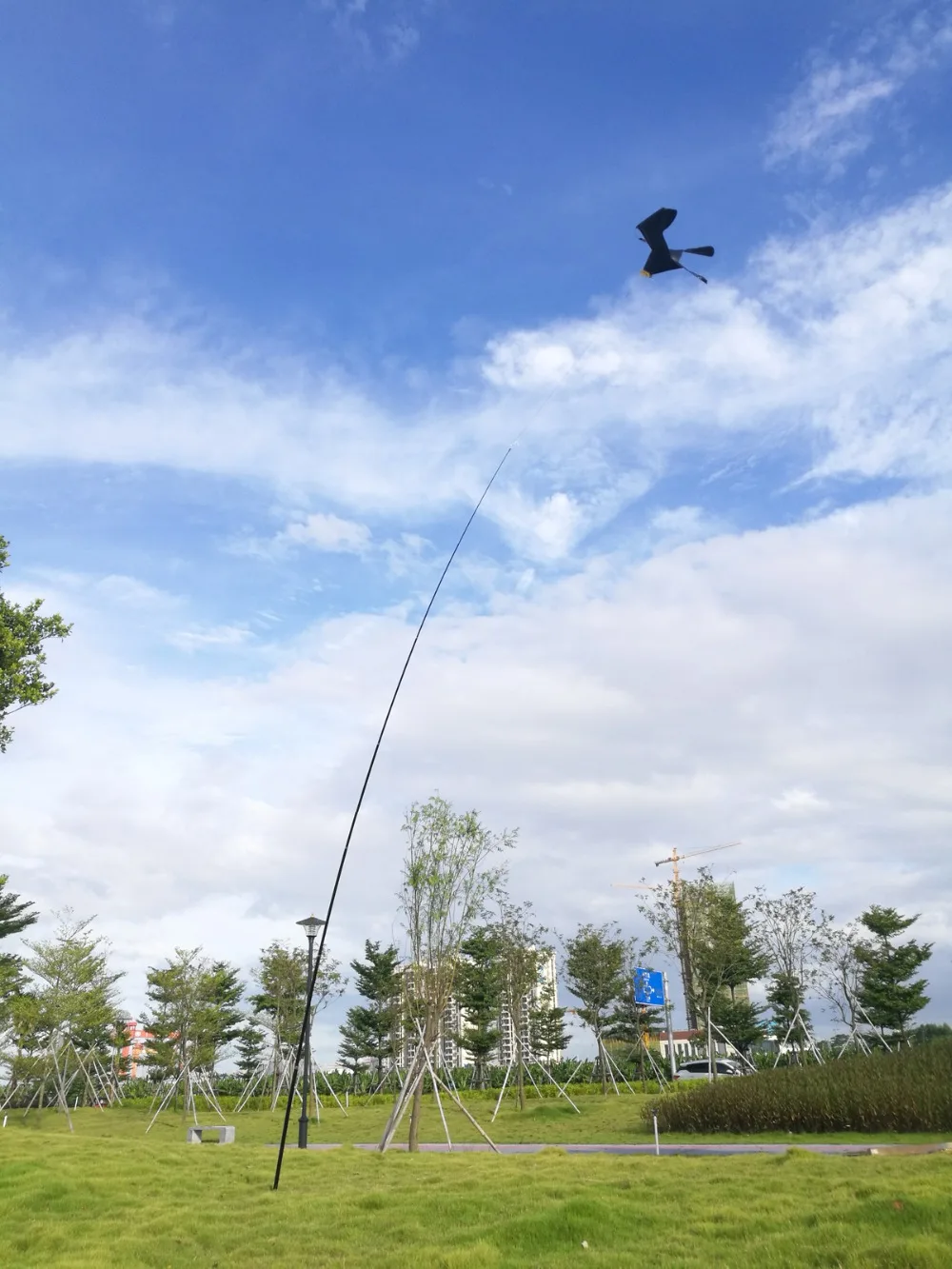 Hawk Kite great as a Bird Scarer Scarecrow Performing Bird Control for Home and Garden-Black(Pole not include)