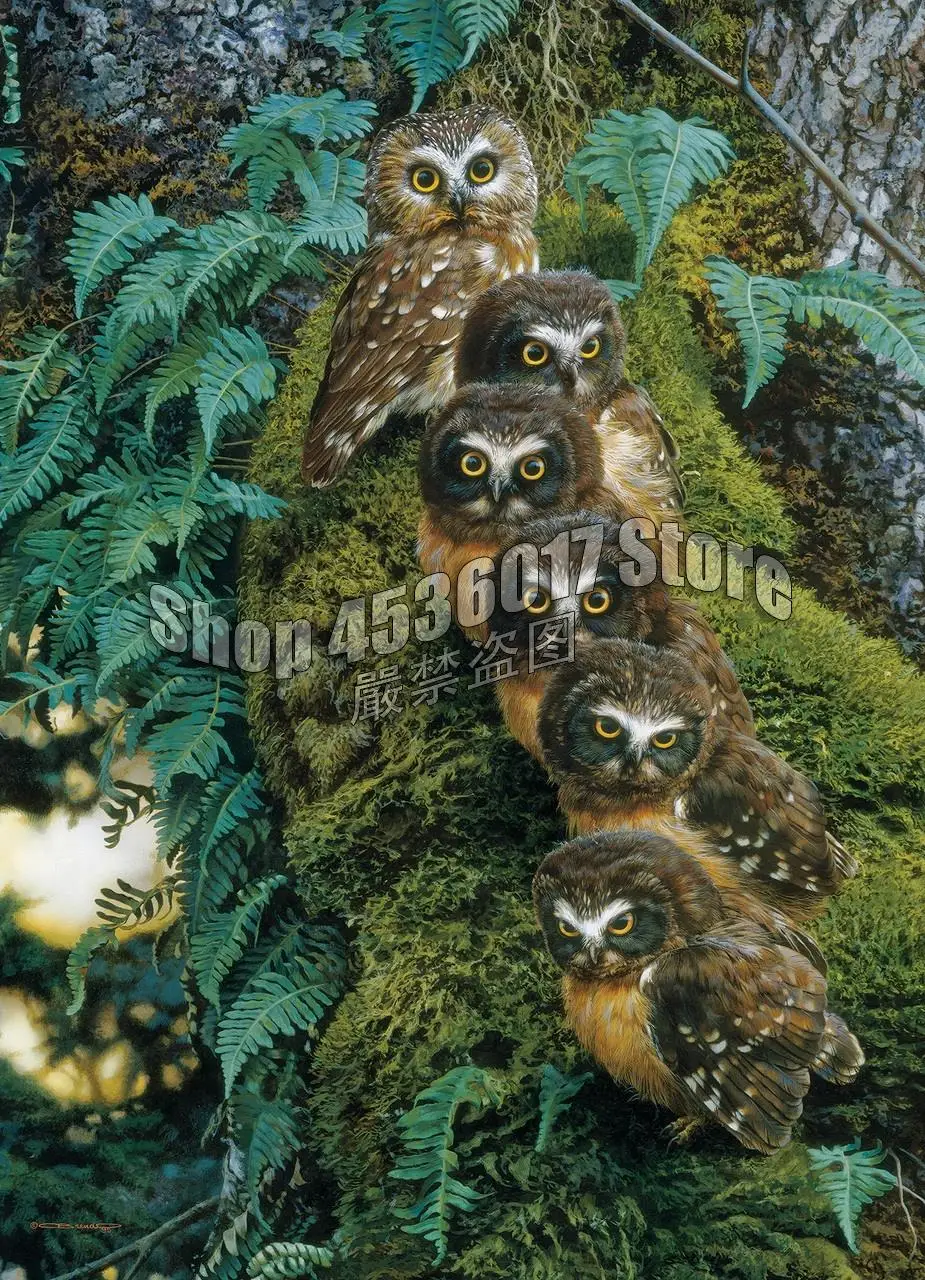 5d Diy Diamond Painting Family Tree Birds Forest owls animal Cross Stitch Diamond Embroidery Mosaic Paintings Home Decor Gifts