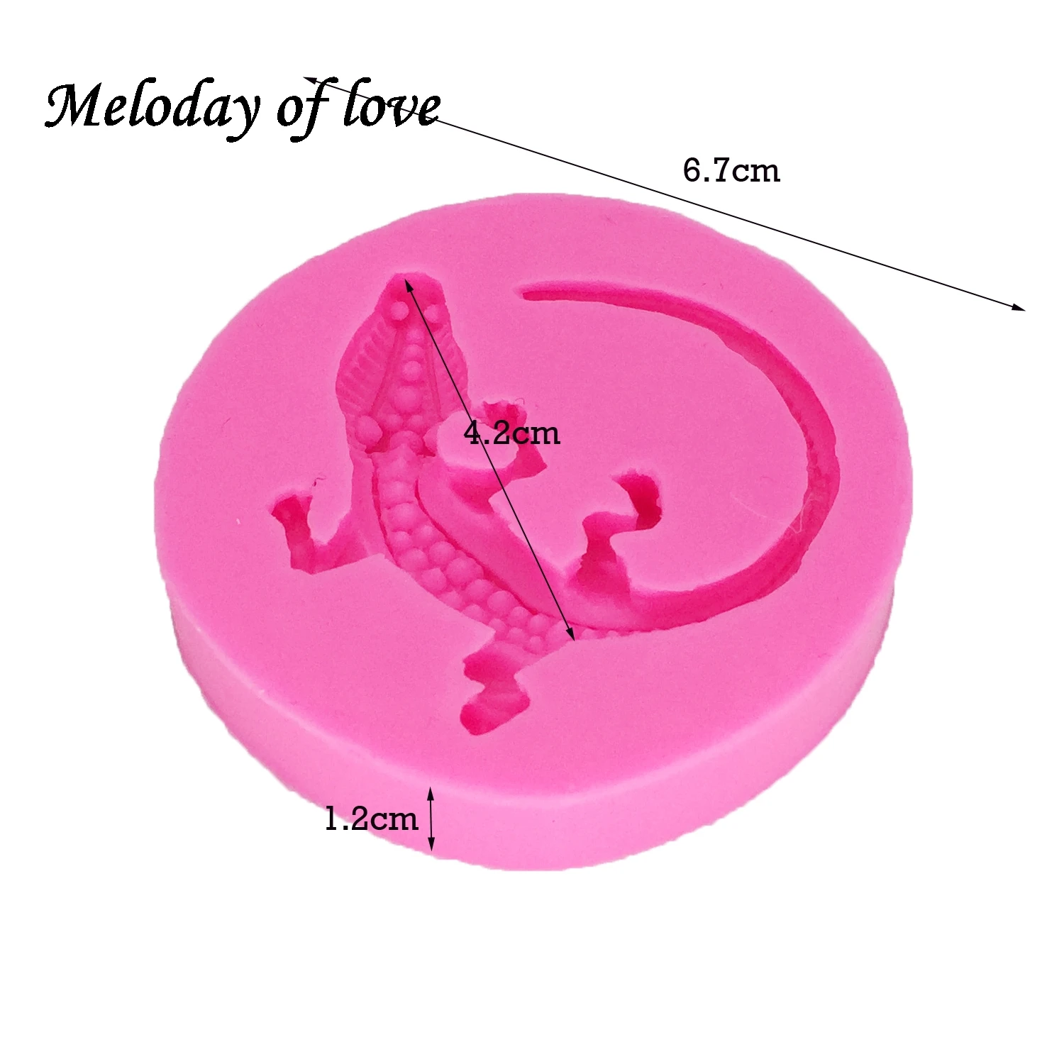 Moule en silicone pour lézard de salle, outils de décoration de gâteaux au chocolat, artisanat 3D, résine irrigation, moule Regina DY0044