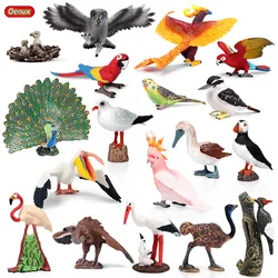 Oenux Simulation Bird Animals PVC Action Figures Peacock Parrot Eagle Birds Model Figurines Garden Miniature Collection Toy