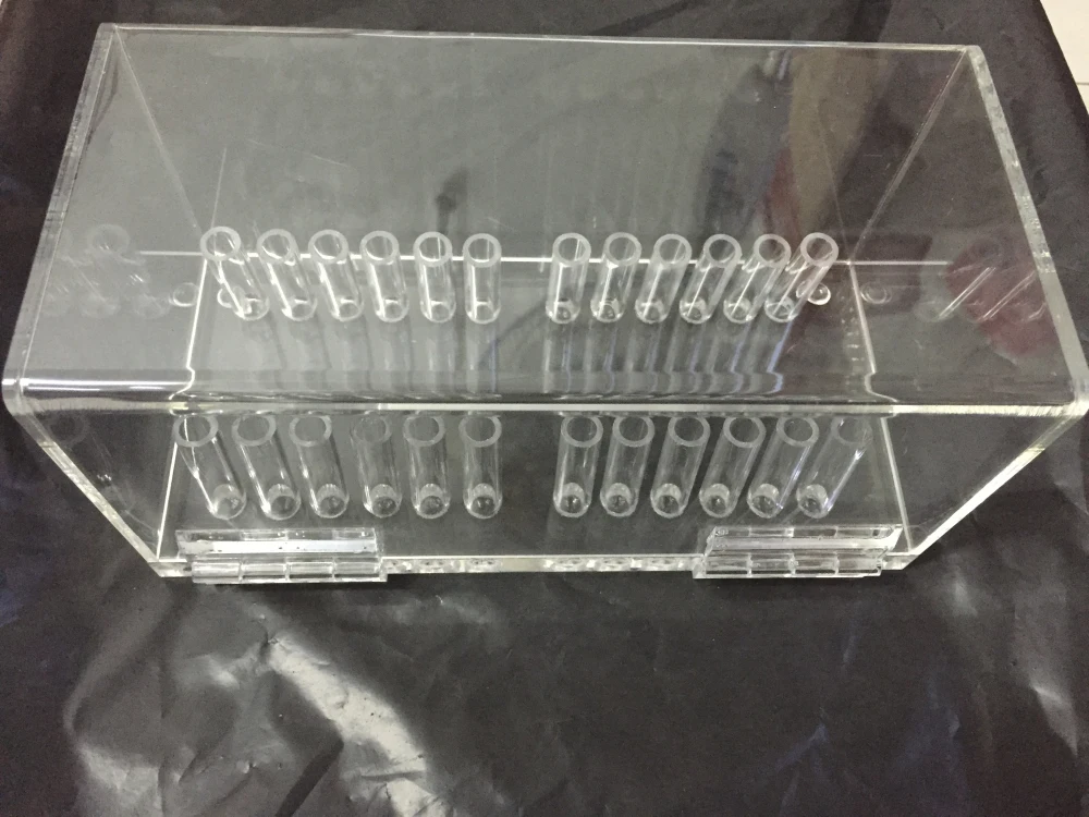 Dental Acrylic Organizer Holder Case Orthodontic Preformed Wire Product