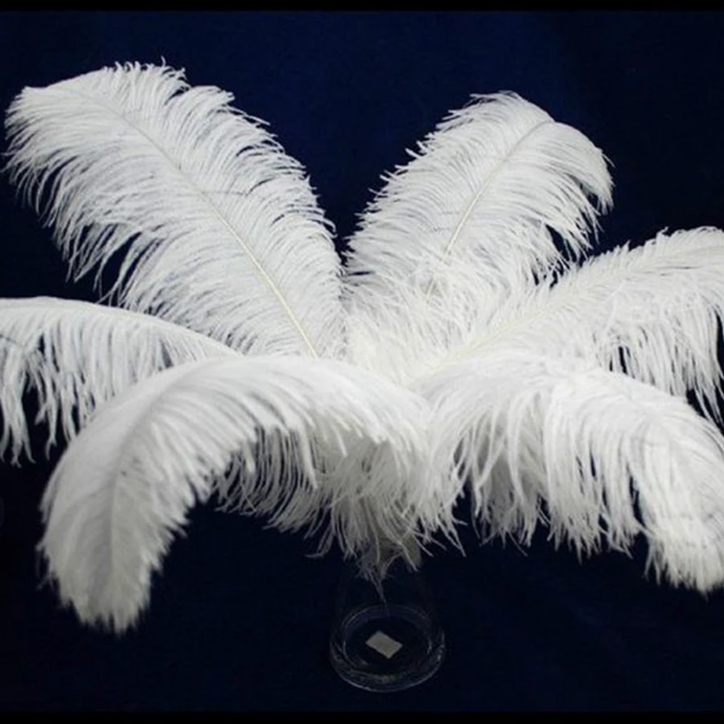 Wholesale 10pcs/lot Elegant White Ostrich Feathers 15-75cm For Craft Wedding Party Supplies Carnival Dancer Decoration Plumages