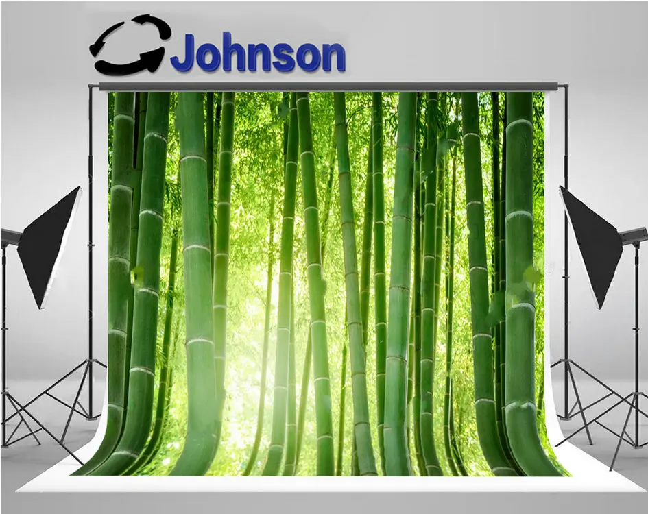 

bamboo forest sunshine backdrop High quality Computer print scenic photo studio background