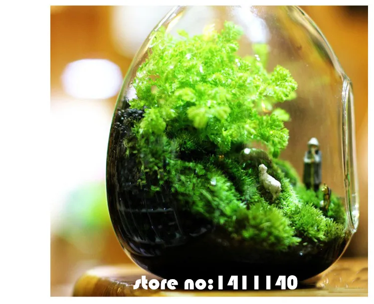 6pcs egg shape type Aquiculture Container Glass Vase Flower Plant Water Container Family Wedding Decoration