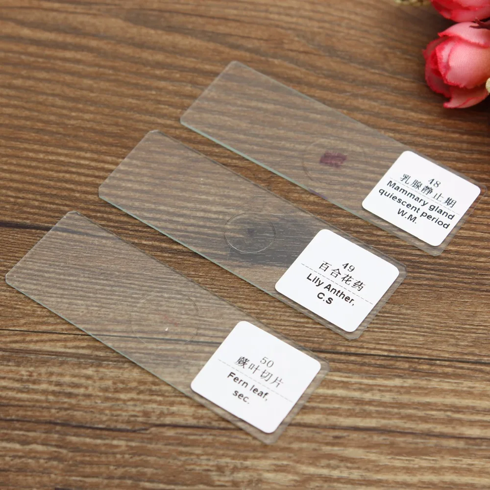 Biology 50 PCS Prepared Biological Basic Science Microscope Glass Slides School and Laboratory English Label Teaching Samples