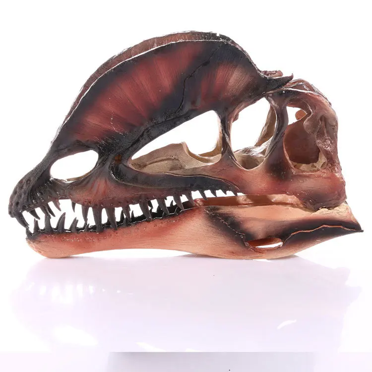 Dinosaur Dilophosaurus Skull Resin Fossil Model Collectibles Home Bar Decoration