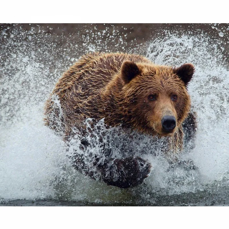 5D DIY Diamond Painting Bear Cross Stitch Bear In Water Animal Needlework Mosaic Home Decoration Full Square Diamond Embroidery