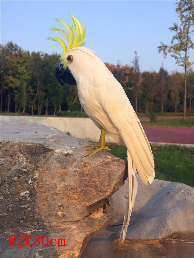 

white feathers parrot bird model about 32cm polyethylene&feathers cockatoo home garden decoration gift s2993