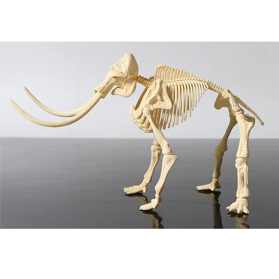 3D skeleton DIY assembly dinosaur models plastic bone toy for children,Triceratops/stegosaurus/velociraptor/mammoth for choose