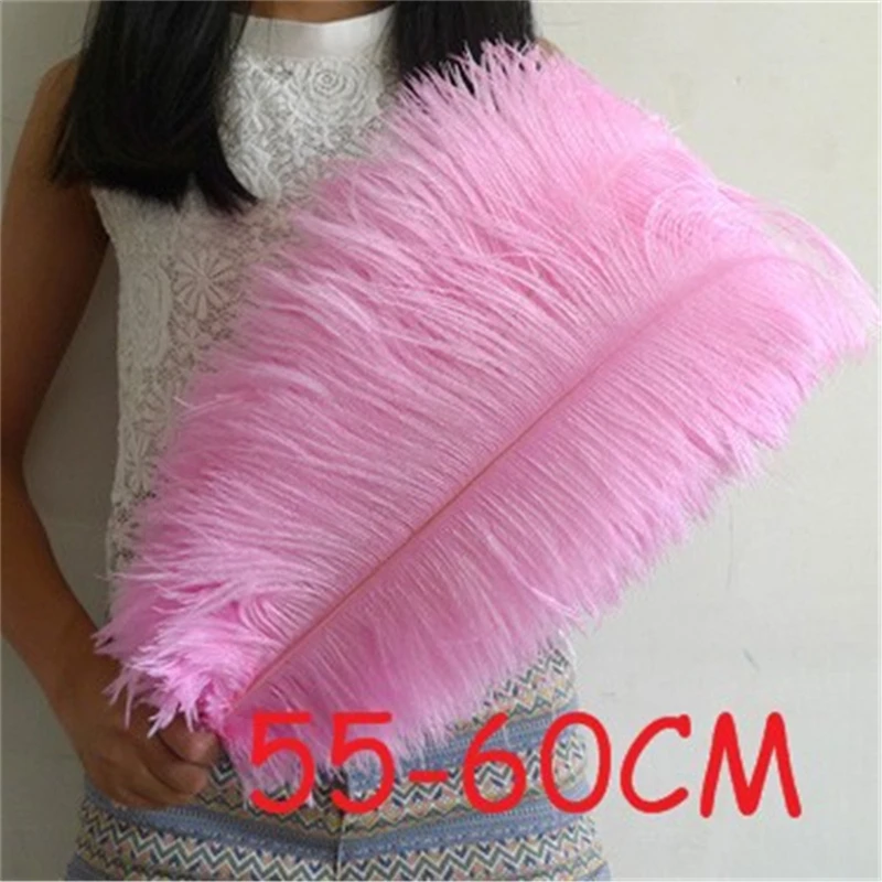 5pcs/lot 10 Kinds Color 55 - 60cm Ostrich Feathers Plumages 22- 24\'\' Feathers Wedding Party Supplies Dancer Decoration