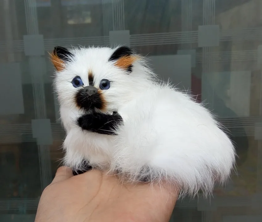 simulation cat about 11x9cm toy lifelike Persian cat model, home decoration gift t087