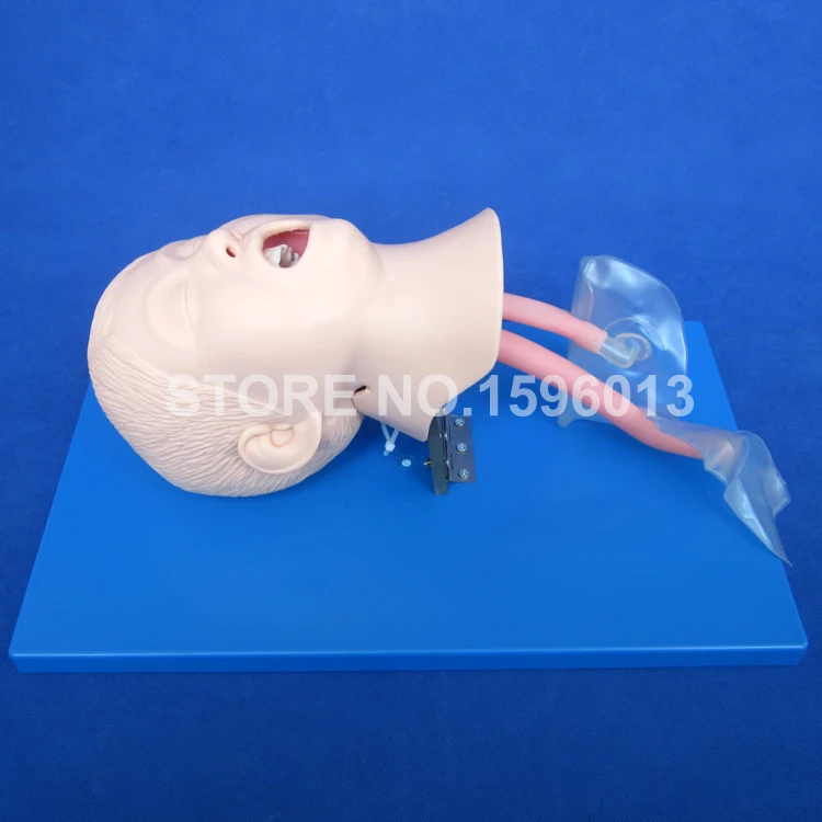 

High Quality Child Trachea Intubation Model,Intubation Training Model with Soft and Vivid Head and Trachea