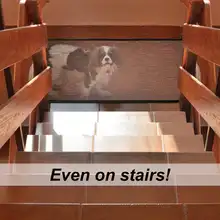 Dog Mesh Safety Gate #4