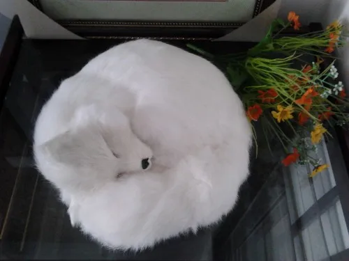 large 27x27x12cm simulation prone fox white furry fur fox model ornament photography prop home decoration gift h1388