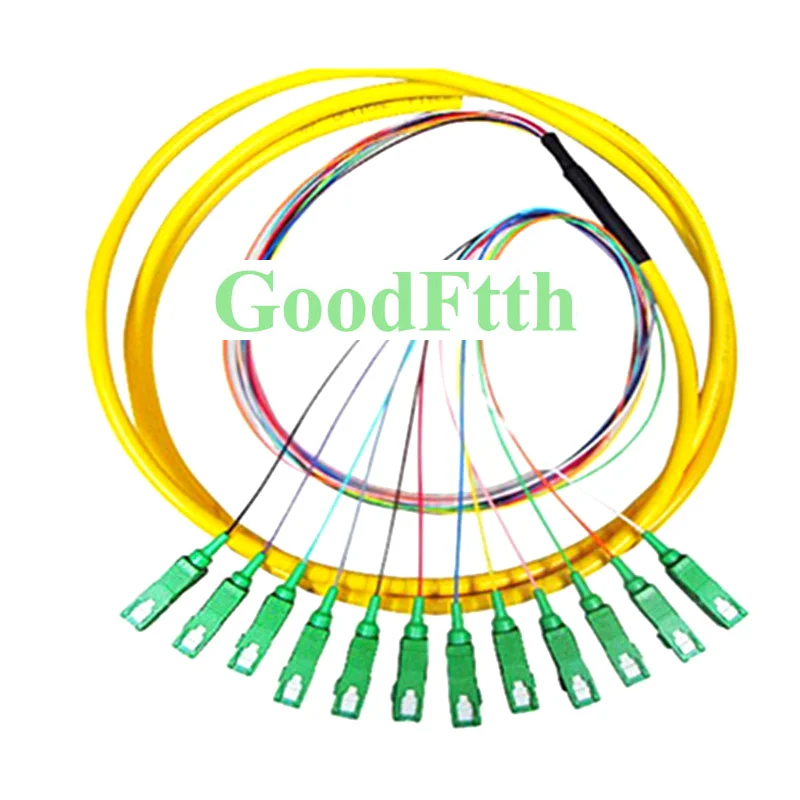 

Fiber Optic Pigtail SC APC SC/APC SM 12 Cores Distribution 0.9mm GoodFtth 5m 6m 7m 8m 10m 15m 20m 25m 30m 50m