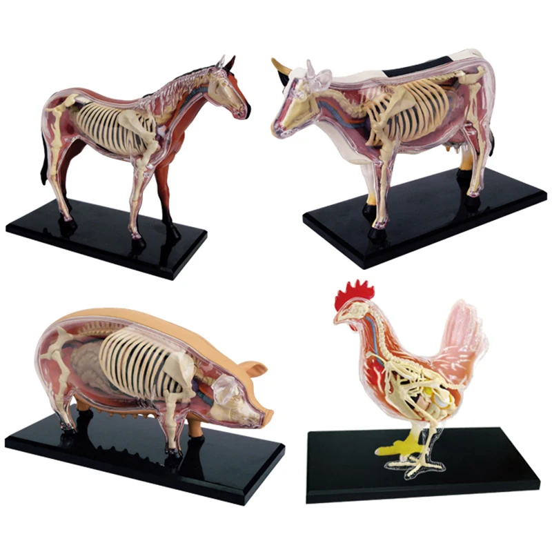 1PCS Anime 4D Vison Horse Pig Cow Chicken Anatomy Medical Animal Model Puzzels For Children Skeleton Educational Science Toy