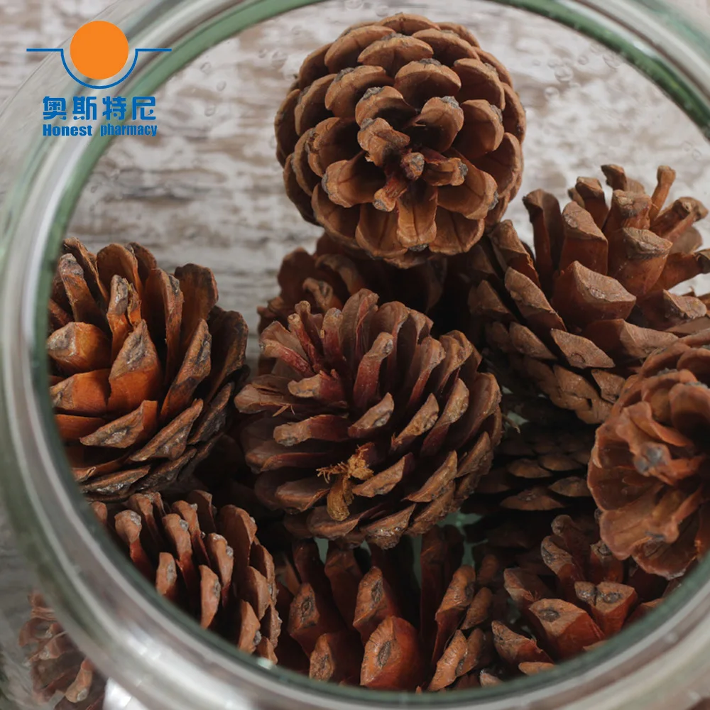 

80pcs 2-3cm naturally pine cones with silver sting hanging for Christmas decoration