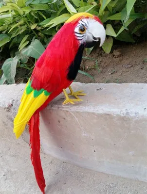 30cm simulation bird beautiful feathers parrot parrot model handicraft prop,home garden decoration gift p2512