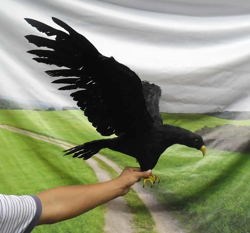 about 45x85cm simulation black eagle bird model toy ,plastic foam&feathers spreading wings eagle model ,home decoration w5609