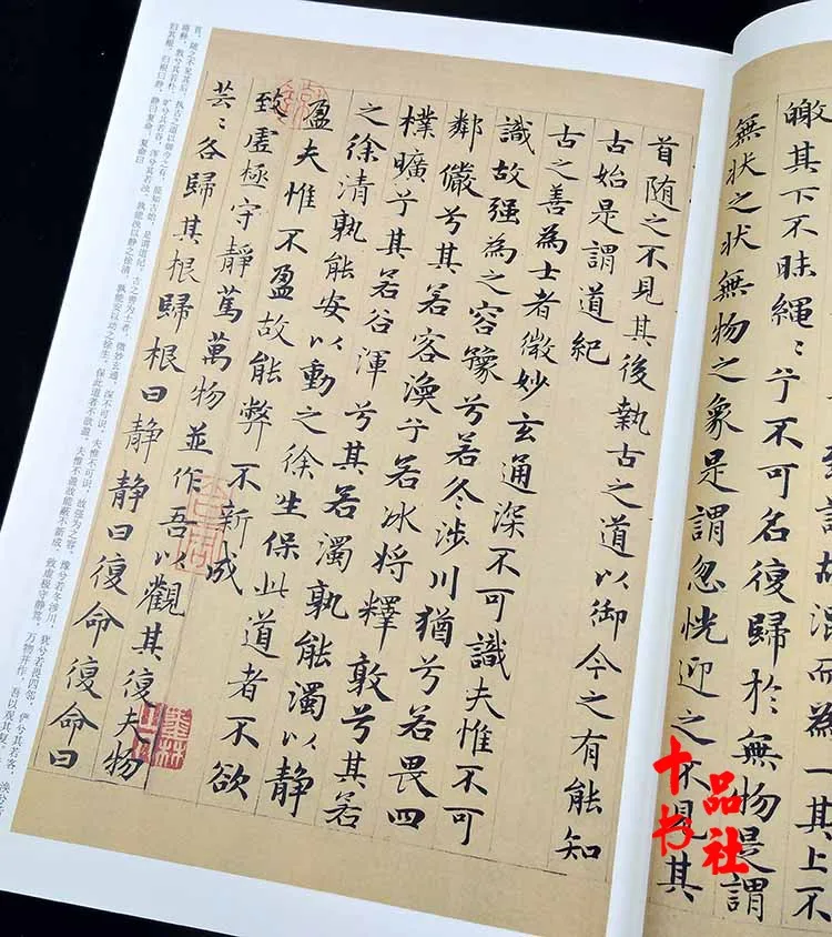 Quaderno di calligrafia cinese con iscrizione in pietra, sfregamento, libro di scrittura a pennello 85 pagine 23 * 33,50 cm