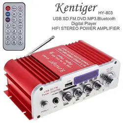 DC12V/AC220V/AC110V 2CH Bluetooth-compatible HI-FI Car Audio Amplifier FM Radio Player Support SD USB DVD for Car Home