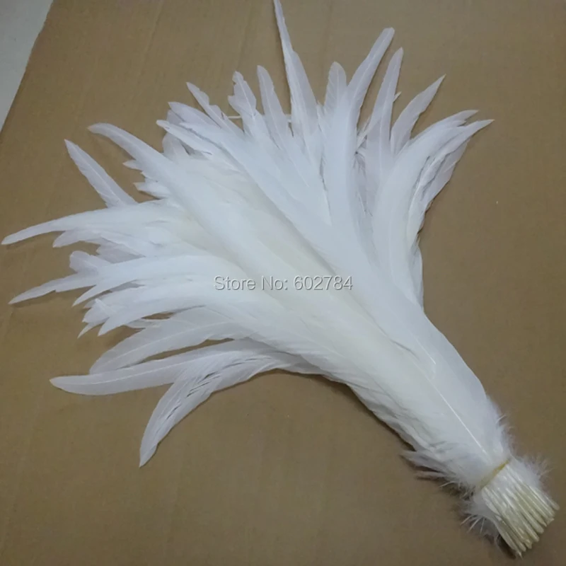 Rooster Feathers 100pcs/lot Pure White Rooster Tail Feather for Party Performance Chicken Feather for Handicraft Indian Costume