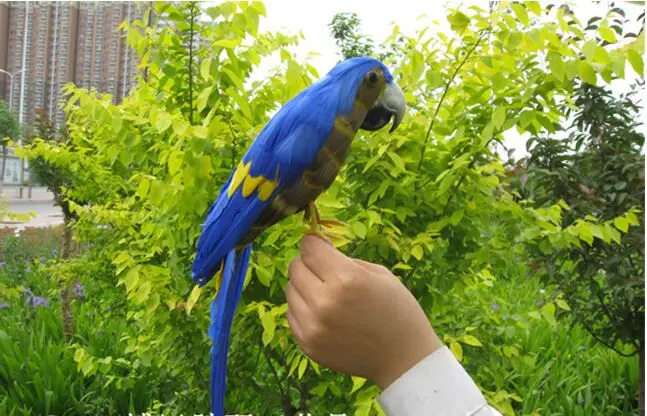 cute simulation blue parrot model foam&feather parrot bird gift about 25cm 1151