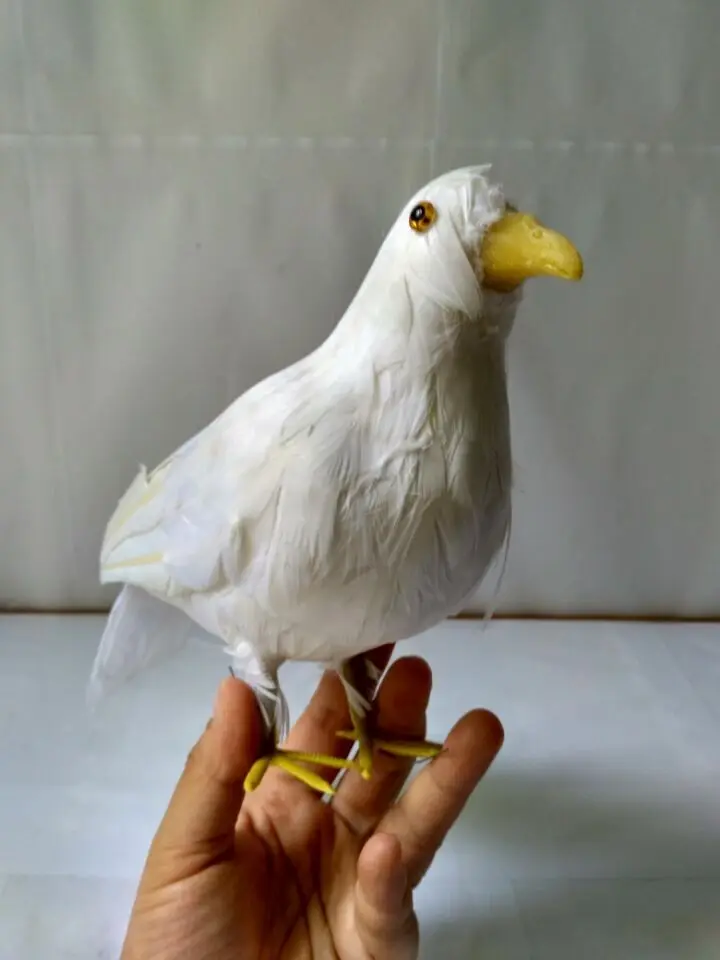white simulation dove model foam&feather standing bird doll gift about 28cm 1543