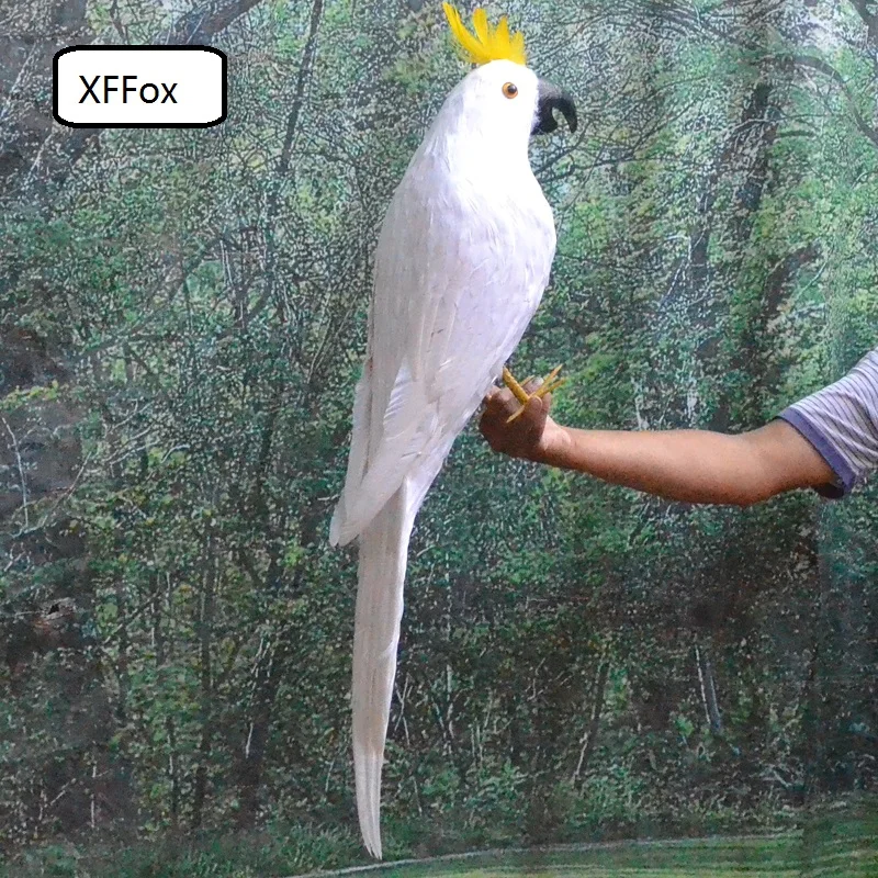 

big real life white parrot model foam&feather simulation cockatoo bird gift about 80cm xf0203