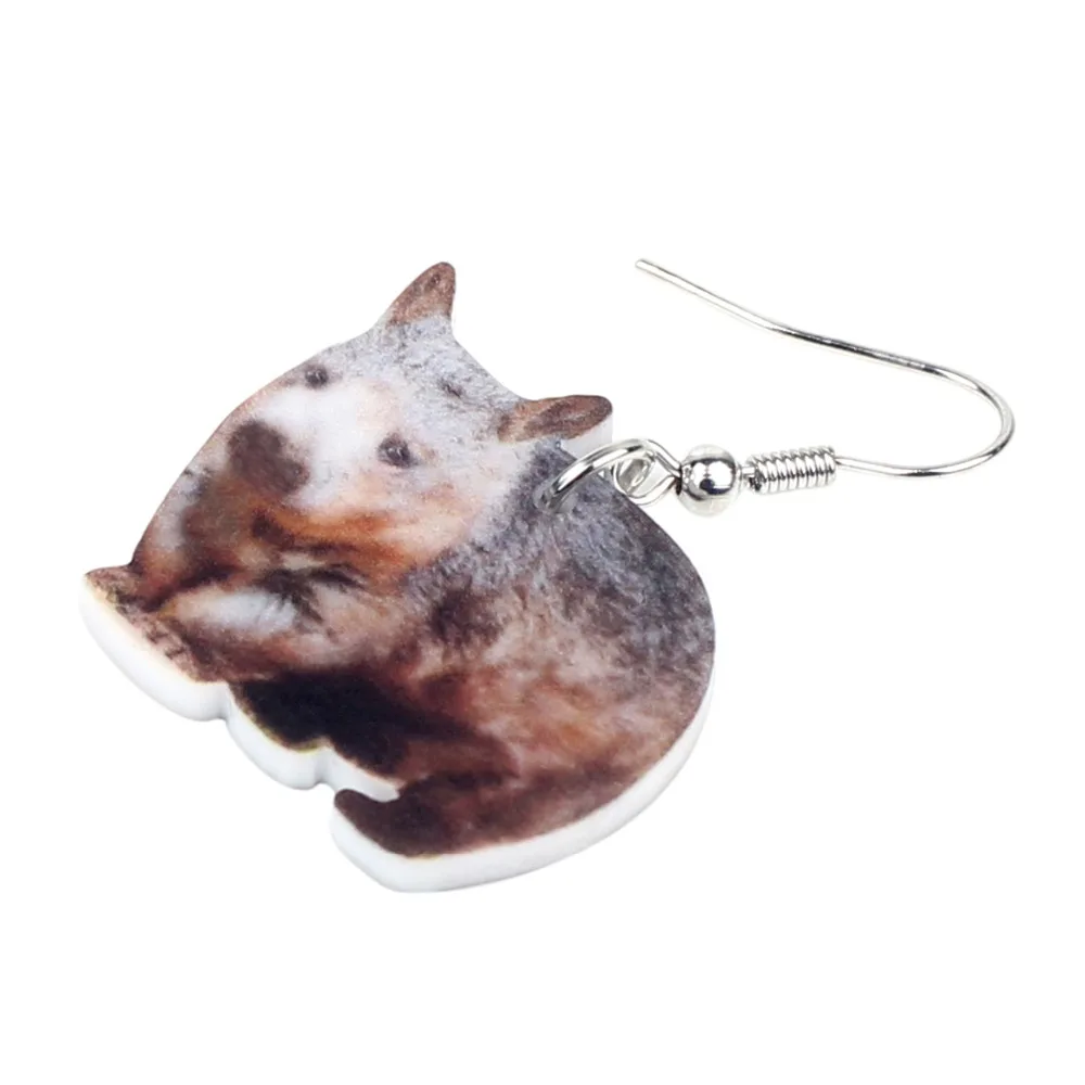 Bonsny Statement Acrylic Sweet Australian Wombat Earrings Drop Dangle Wild Animal Jewelry For Women Girls Teens Gift Charms Bulk