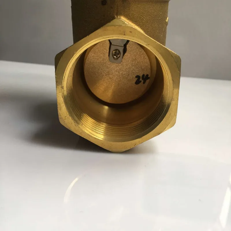 8.5L/دقيقة مفتاح التدفق DN40 1.5 بوصة يربك من نوع نقص حماية المياه التحكم في التدفق إشارة التبديل DN40 مفتاح مستشعر تدفق المياه