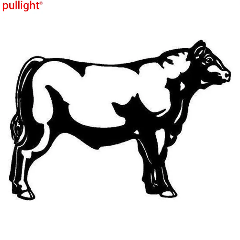 15.7*11.4CM Angus Cow/Bull Lovely Car Styling Decals Vinyl Creative Car Stickers Accessories