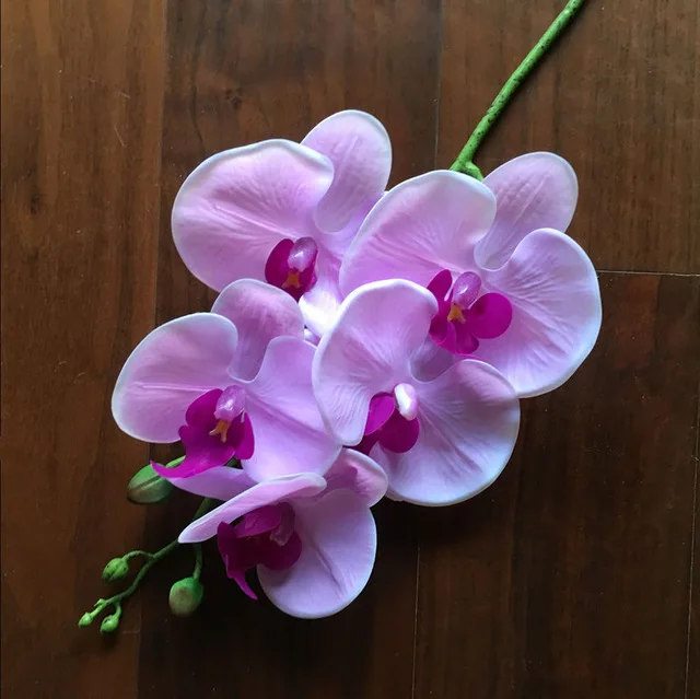 5-Heads/branch Artificial Butterfly orchid Phalaenopsis Silicon Real Touch  Latex Orchidee Wedding High Quality