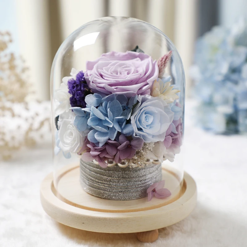 10*12cm Small Size Glass Dome Vase Home Decoration Three Legs Log Base Transparent Cover DIY Friend Gift Wedding Live Prop