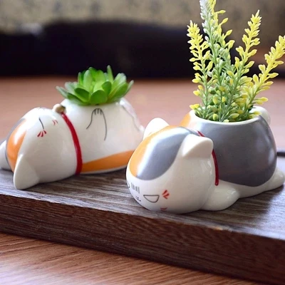 Cat Teacher Ceramic Small Potted Plant Flower Set Indoor Xia Miao Friends Account Anime Around