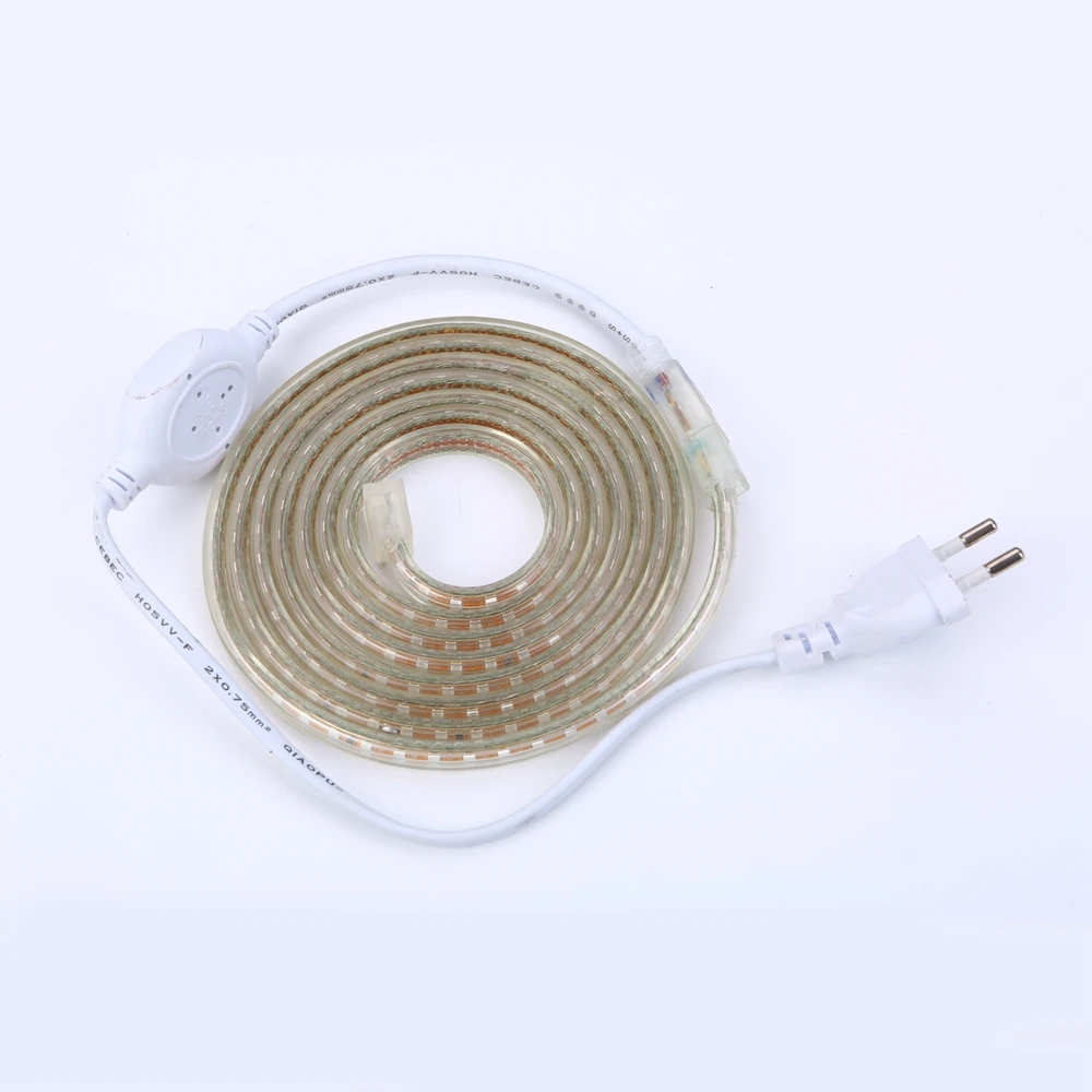 220V Led Strip SMD 2835 120led/M 1m 2m 3m 5m 10m 100m Waterproof Flexible Tape Light EU Power Plug 23key 11key Dimmer Controller