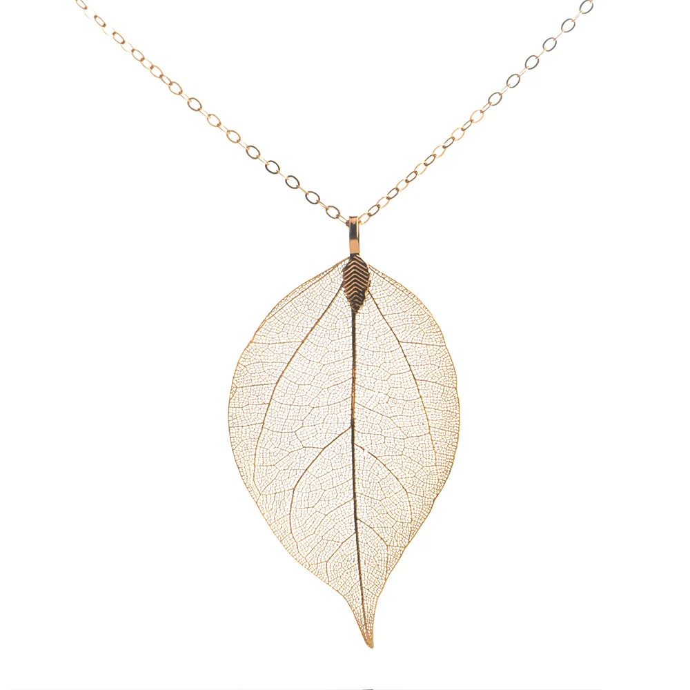 Chanfar 5 Colors Long Pendant Natural Real Leaf Necklace Sweater Alloy Leather Choker Necklace For Women Statement Jewelry - Image 4