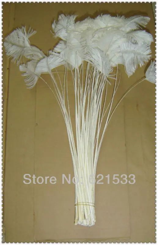 50PCS/LOT 45-50CM 18-20inch Dyed Ostrich Feather Hard Rod Tails Trimed DIY Jewelry Art Feathers 5Colours Available