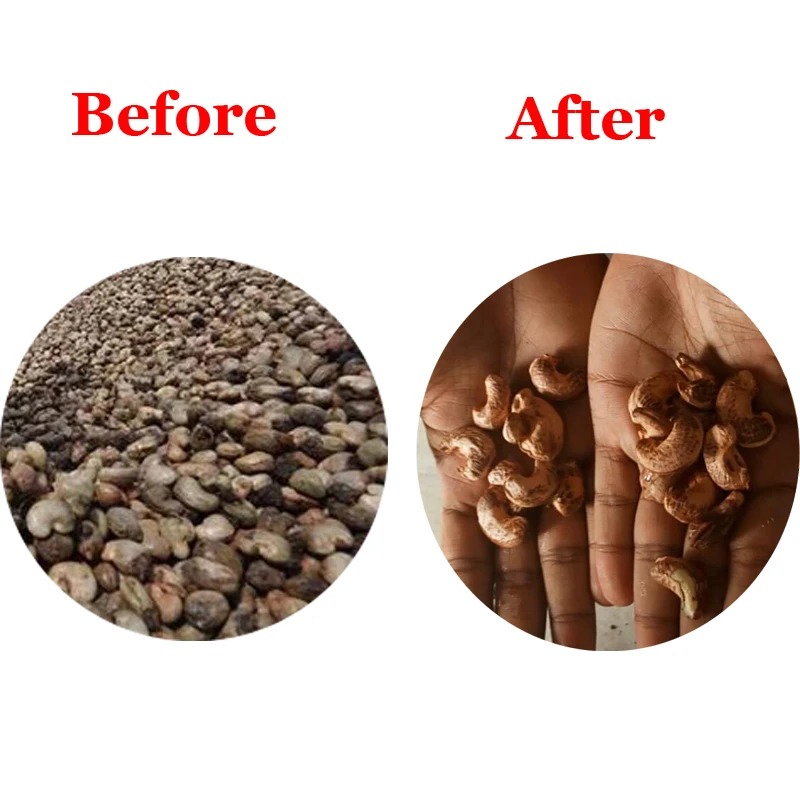 Máquina automática de descascarado de anacardo, descascaradora de anacardo