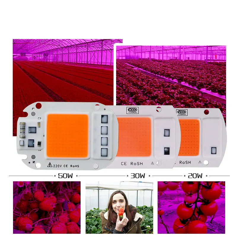 Puce de croissance LED pour culture hydroponique intérieure, lumière à spectre complet, 380nm, 220V, 20/30/50W, 1 pièce