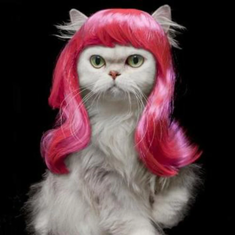 [MPK Cat Wigs] Pink Cat Wig, Pet Wig, Funny  Wig, Pink Curly Hair for Pets