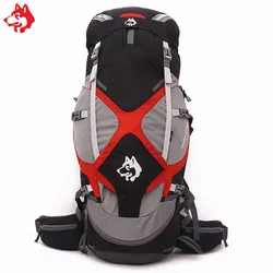 New design comfortable Black/Blue/Green 60+5L outdoor hiking bag with suspension system trekking climbing camping backpack
