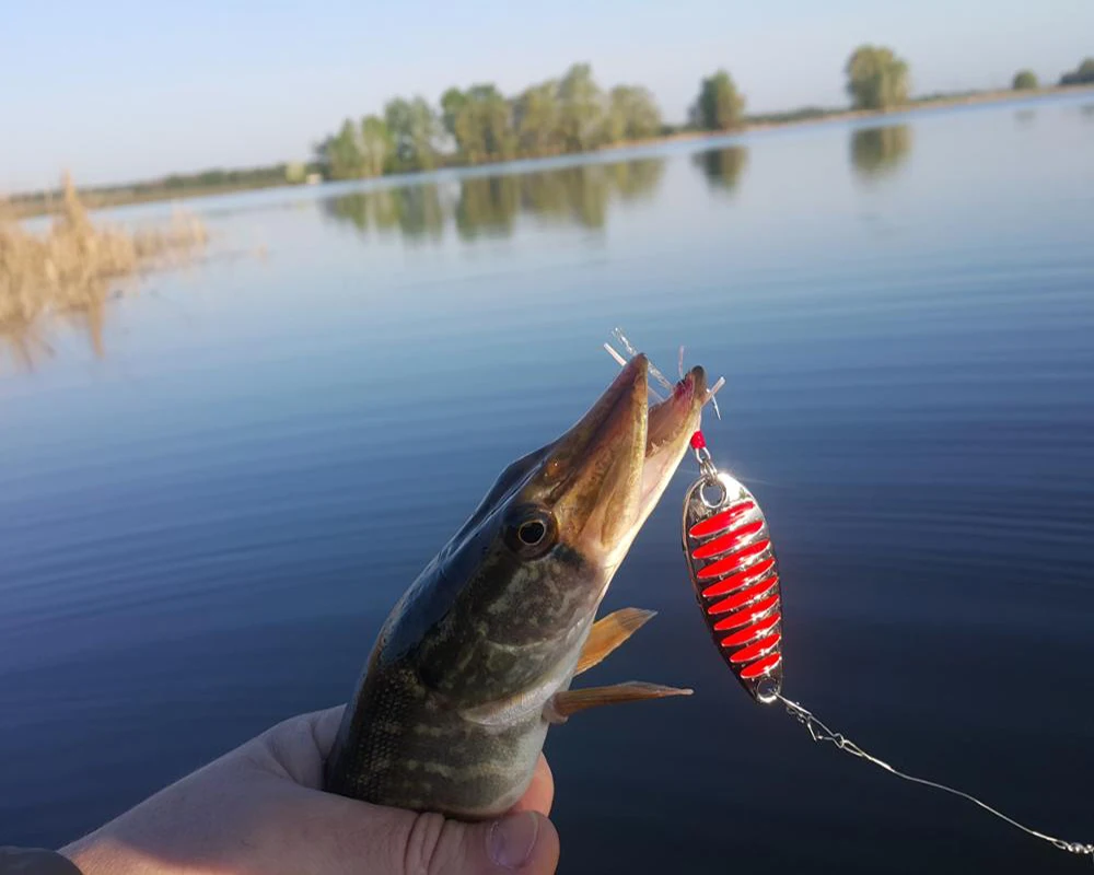 Cucchiaio da pesca richiamo 2g 5g 7.5g 10g 15g 20g Oro/Argento cucchiaio da pesca esche dure esche metalliche Pesca