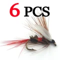 6PCS