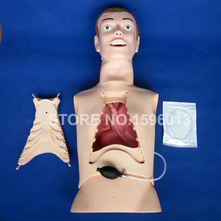 

Nasogastric Feeding,Tracheostomy Care and Intubation Training Simulator,Half Body Nursing Manikin